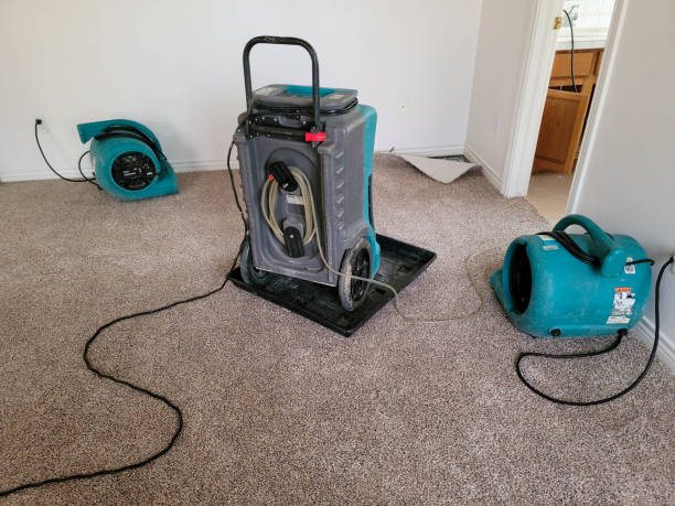 Best Commercial water damage restoration  in Millville, DE