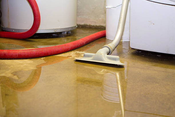Best Carpet water damage restoration  in Millville, DE