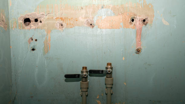 Best Emergency water damage restoration  in Millville, DE