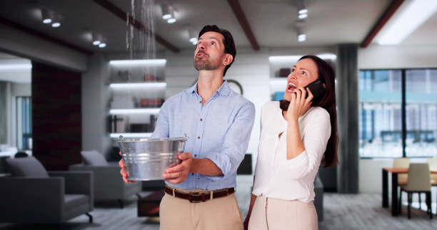 Best Fire Damage Restoration  in Millville, DE